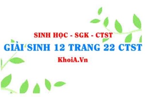 Giải Sinh 12 trang 22 Chân trời Sáng tạo